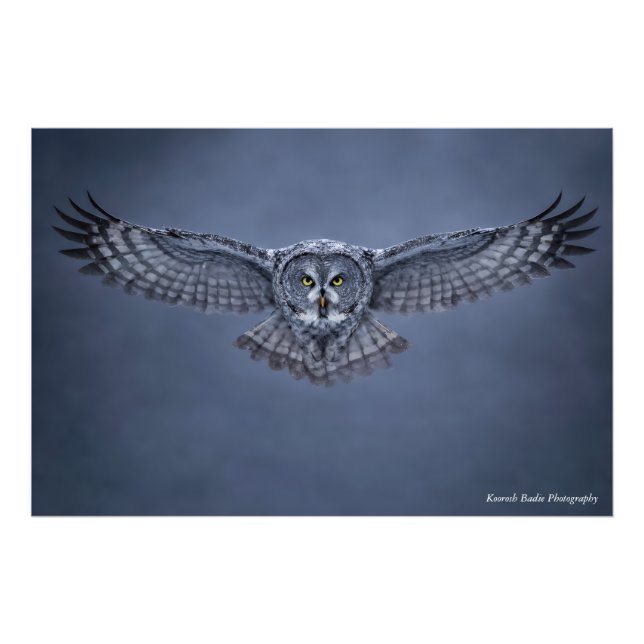 Foto Great Gray Owl Wingspan Wildlife Art Print (Frente)