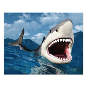 Foto Great Shark White