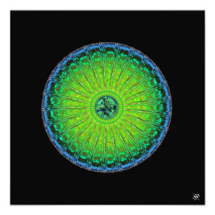 Foto Guarda-chuva de águas-vivas