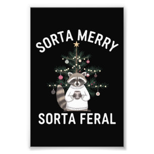 Foto Guaxinim de Natal Meio Alegre Meio Feral Natal