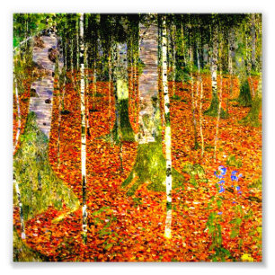 Foto Gustav Klimt Birch Trees