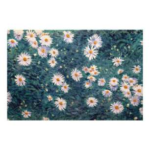 Foto Gustave Caillebotte - Cama de Margaridas, Detalhe