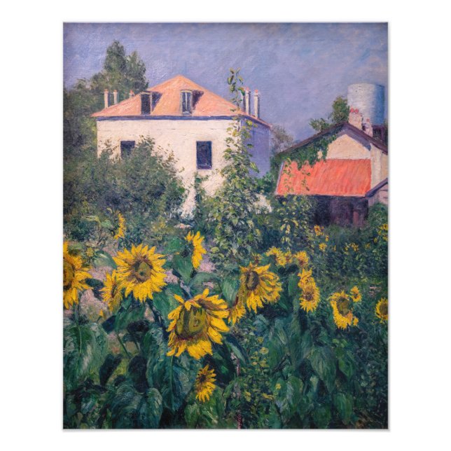 Foto Gustave Caillebotte - Girassóis, Jardim (Frente)