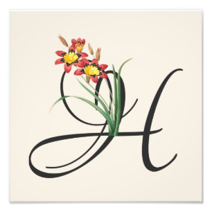 Foto H inicial, Vintage Harlequin Flower Photo Impress