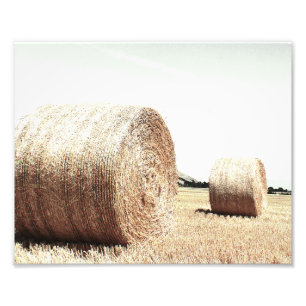 Foto Hale Balança Estilo de Fazenda do País
