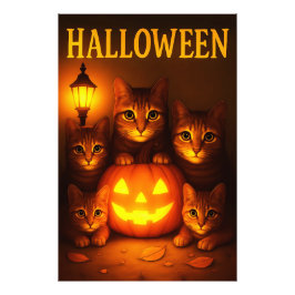 Foto Halloween com Cat Orange Digital Art