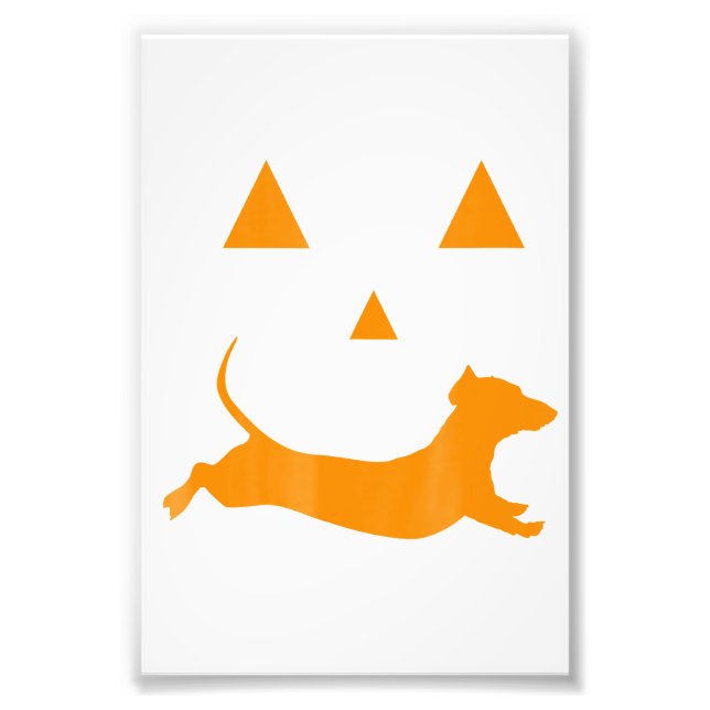 Foto Halloween Pumpkin Dachshund Jack-O-Lantern Costum (Frente)