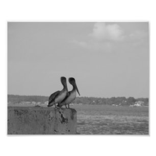 Foto Hang'in para fora