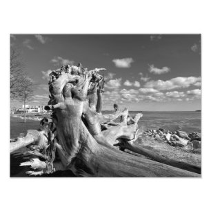 Foto Harbor View - Plymouth, Massachusetts