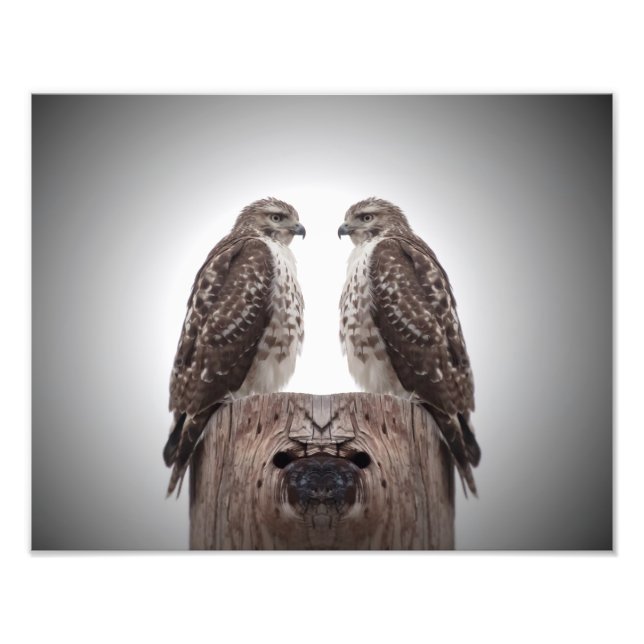 Foto Hawks em um posto (Frente)