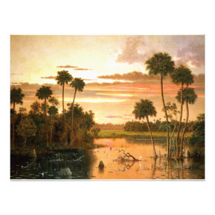 Foto Heade - Excelente Flórida Sunset, pintura de arte