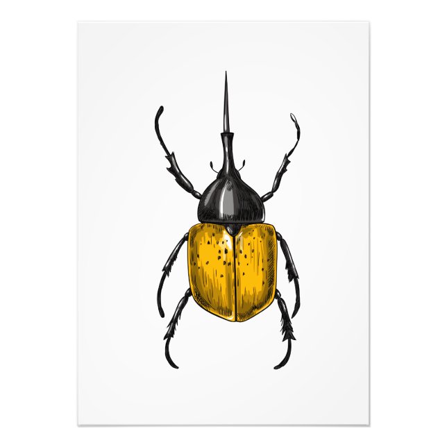 Foto Hercules beetle (Frente)