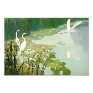 Foto Herões no Verão por Newell Convers Wyeth