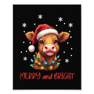 Foto Highland Baby Cow Luzes de Natal