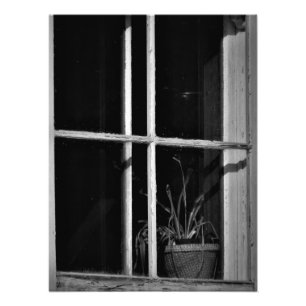 Foto "História Absorvida"