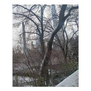 Foto Hoje no Central Park da Cidade de Nova York