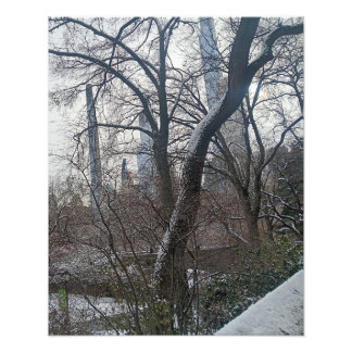 Foto Hoje no Central Park da Cidade de Nova York