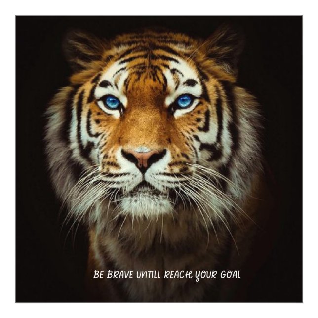 Foto Home & Living > Home Décor > Travesseiros & Poufs  (Frente)