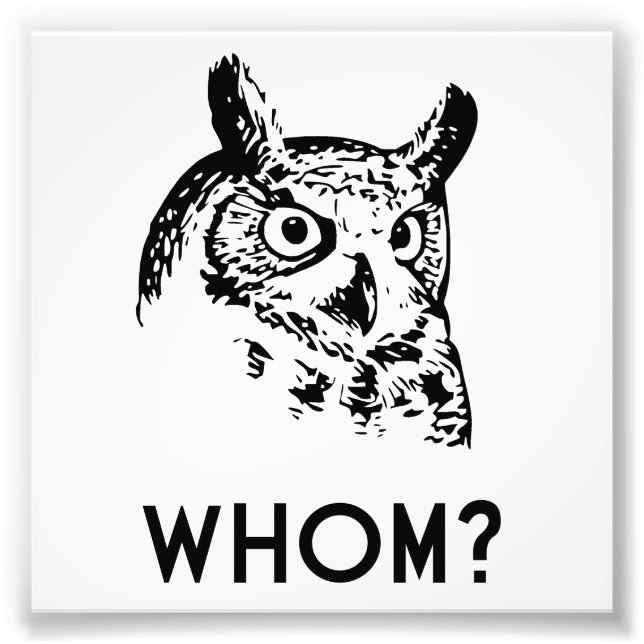 Foto Hoo Who Grammar Owl (Frente)