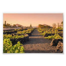 Foto Hora Dourada sobre os Vinhedos La Geria Lanzarote