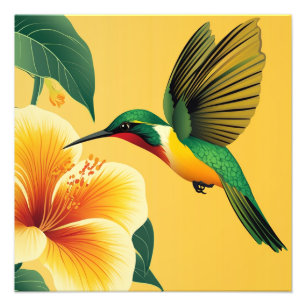 FOTO HUMMINGBIRD #1