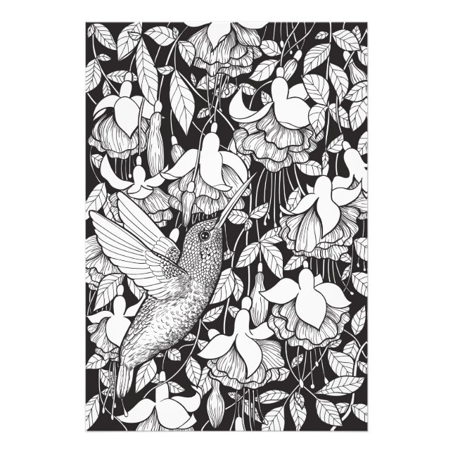 Foto Hummingbird e fuchsia (Frente)