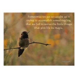 Foto Hummingbird Nas Cores Amarelas Quentes De Ramifica