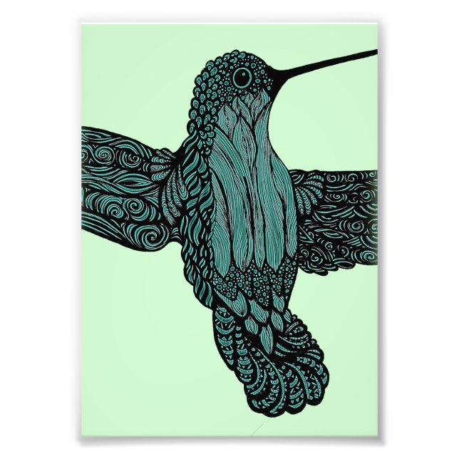 Foto Hummingbird - Teal (Frente)