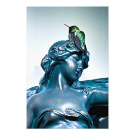 Foto hummingbird view Photo Enlargement