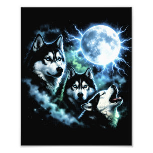 Foto Husky Siberiano Uivando para a Lua – Cachorro no C