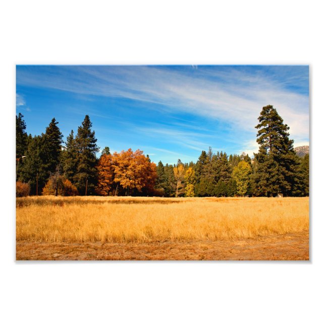 Foto Idyllwil- Pine Cove (Frente)