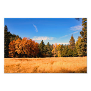 Foto Idyllwil- Pine Cove
