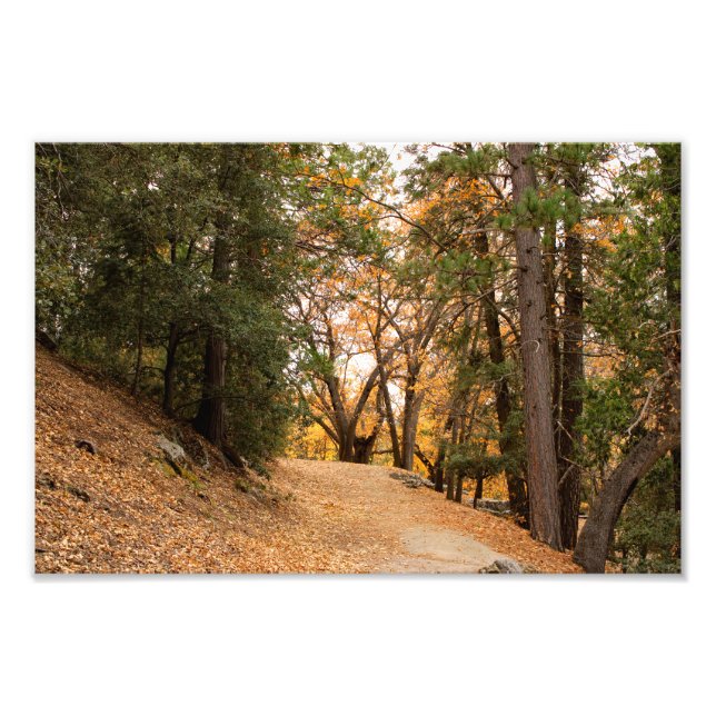 Foto Idyllwil- Pine Cove (Frente)