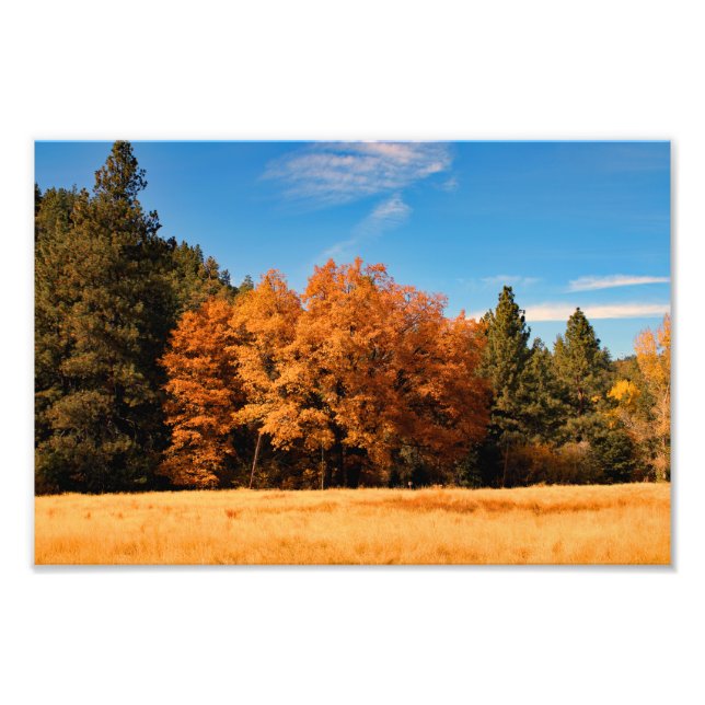 Foto Idyllwil- Pine Cove (Frente)