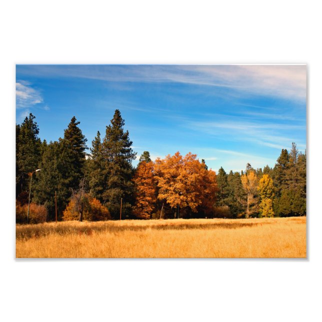 Foto Idyllwil- Pine Cove (Frente)