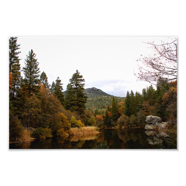 Foto Idyllwil- Pine Cove (Frente)