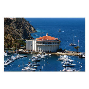 Foto Ilha Catalina papais noeis