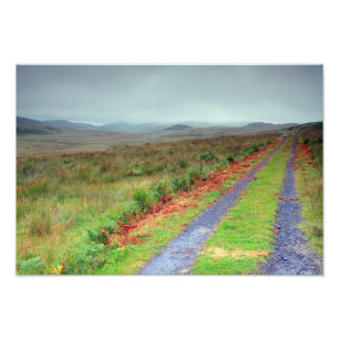 Foto Ilha de Jura track, Escócia