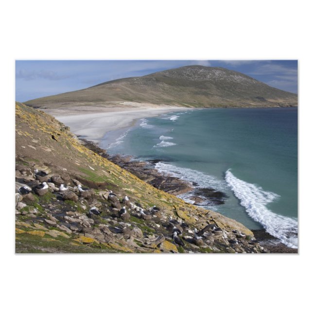 Foto Ilhas Malvinas, Malvinas Ocidental, Saunders (Frente)