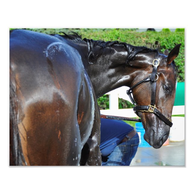 Foto Iluminação do urso (Frente)