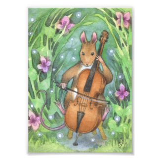 Foto Ilustração Cello da Orquestra Musical do Rato