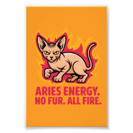 Foto Ilustração de Gato Sphynx Fogo da Energia de Áries