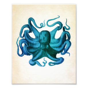 Foto Ilustração de Octopus de Aquarela