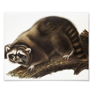 Foto Ilustração de racum (rotor de prótons)