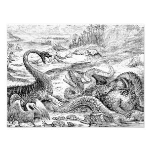 Foto Ilustração do Dinossauro Vintage dos anos 1800 - D
