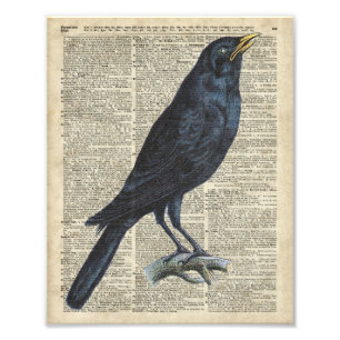 Foto Ilustração do vintage do corvo na página velha