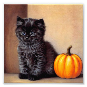 Foto Ilustração Vintage Halloween Black Kitten