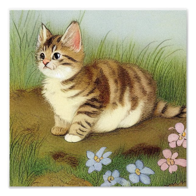 Foto Ilustração Vintage Kitten com Flores (Frente)
