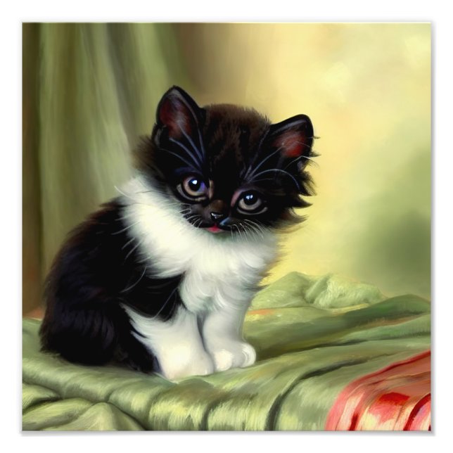 Foto Ilustração Vintage Tuxedo Kitten (Frente)