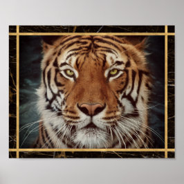 Foto Imagem Impressa Poster da Face do Tigre